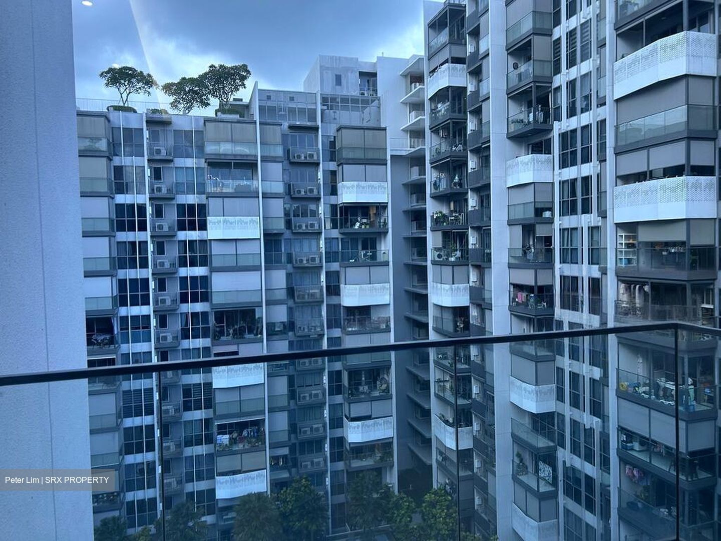 The Alps Residences (D18), Condominium #519069101